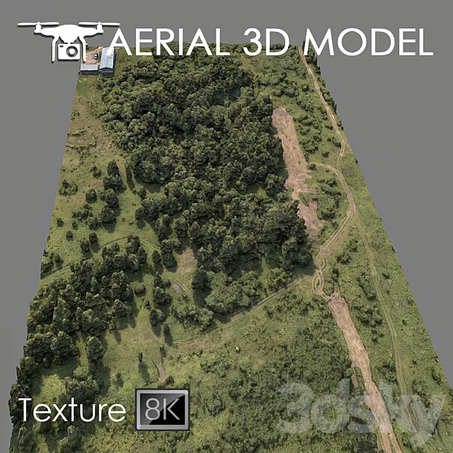 Forest 75 3DModel Forest 75 3DModel
