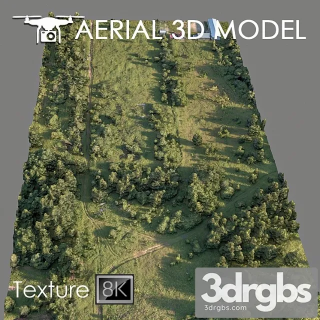 Forest 78 3D Model Download Forest 78 3D Model Download