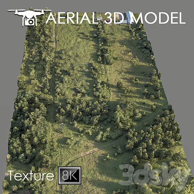 Forest 78 3DModel Forest 78 3DModel