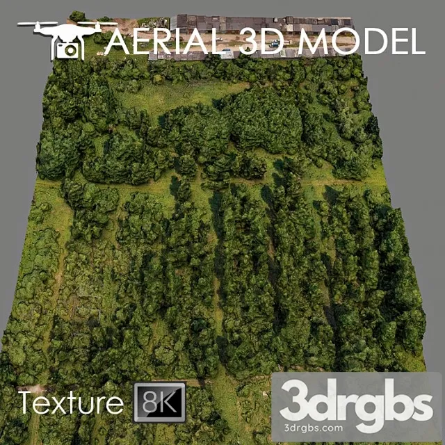 Forest 81 3D Model Download Forest 81 3D Model Download