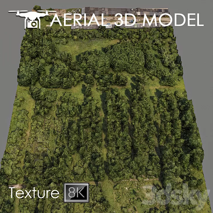Forest 81 3D Model