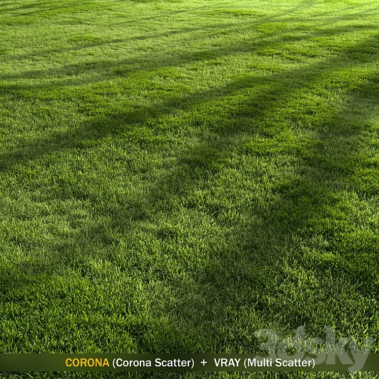 Forest Grass 2 3D Model Free Download