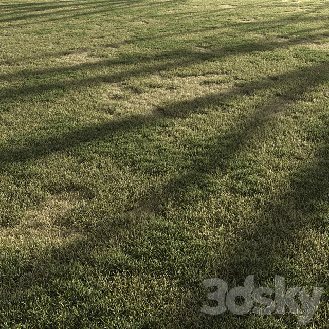 Forest Grass 3 3D Model Forest Grass 3 3D Model