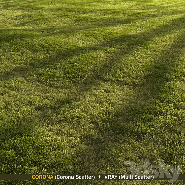 Forest grass 3D Model Free Download