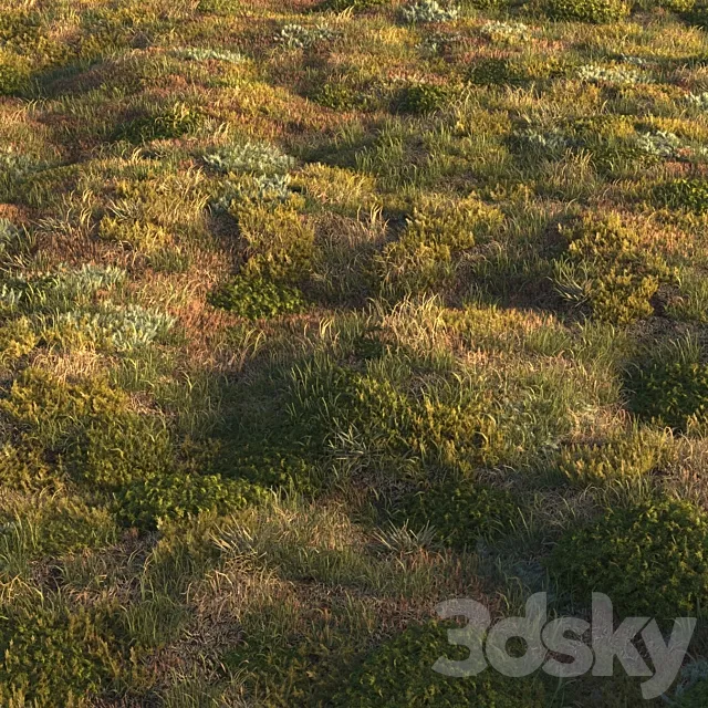 Forest grass 3D Model Forest grass 3D Model