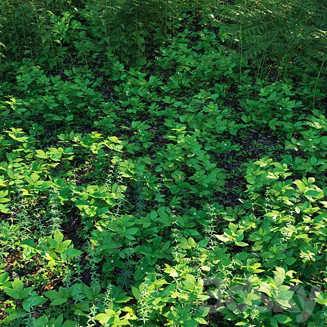 Forest grass 3D Model Forest grass 3D Model