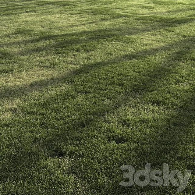 Forest Grass 4 3D Model