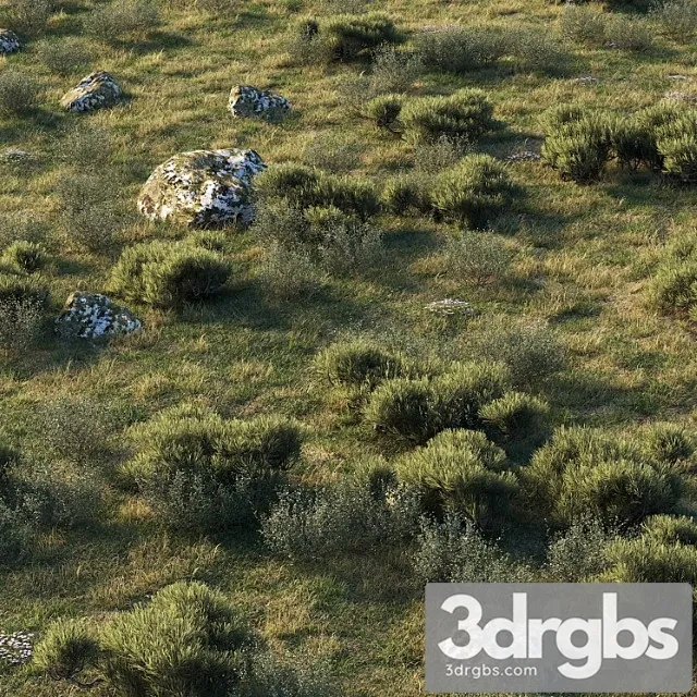 Forest landscape Forest landscape