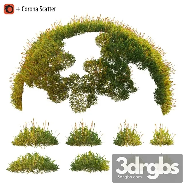 Forest moss 2 Forest moss 2