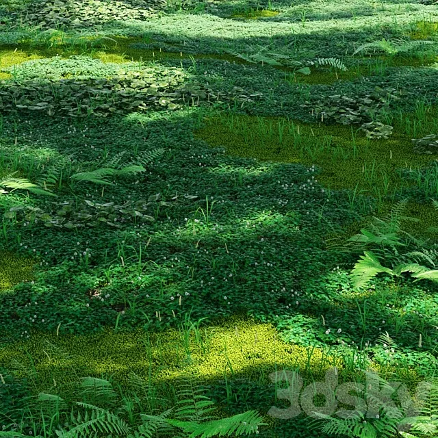 Forest plants 3D Model Forest plants 3D Model