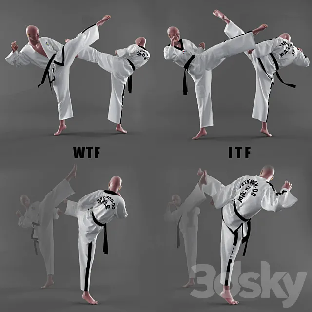 Form of taekwondo 3D Model