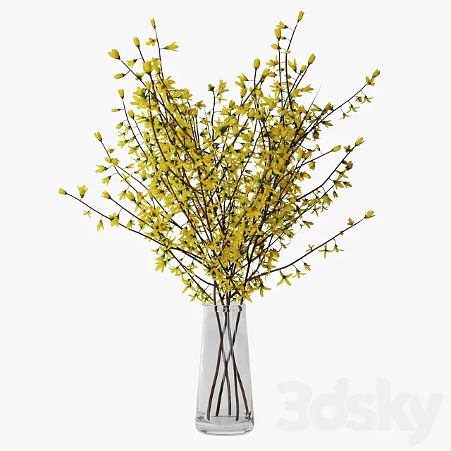 Forsythia 02 3D Model Forsythia 02 3D Model
