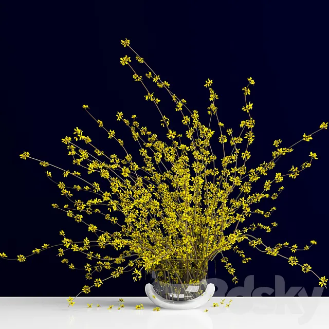 Forsythia _ Forsythia 3D Model Forsythia _ Forsythia 3D Model
