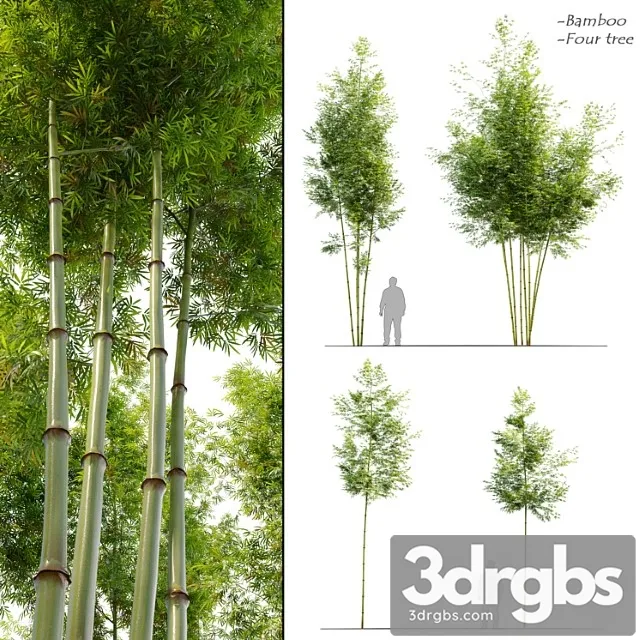 Four Bamboo Tree 3D Model Download