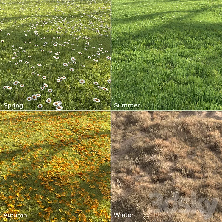 Four seasons grass 3D Model Free Download