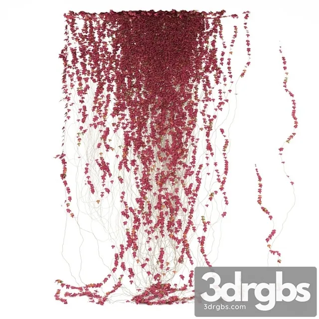 Fragment of Red Ivy Red Ivy 3D Model Download