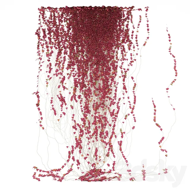 Fragment of red ivy Red Ivy 3D Model Fragment of red ivy Red Ivy 3D Model