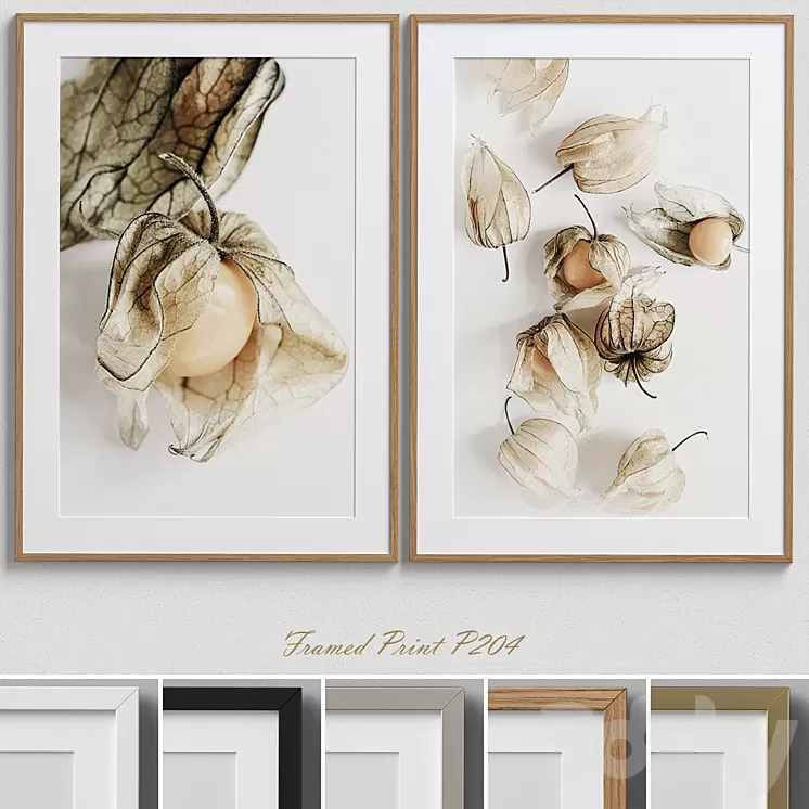 Framed Print P-204 3D Model