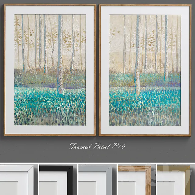 Framed Print P-76 3D Model