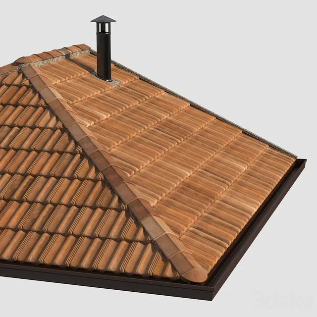 French tile roof 3D Model