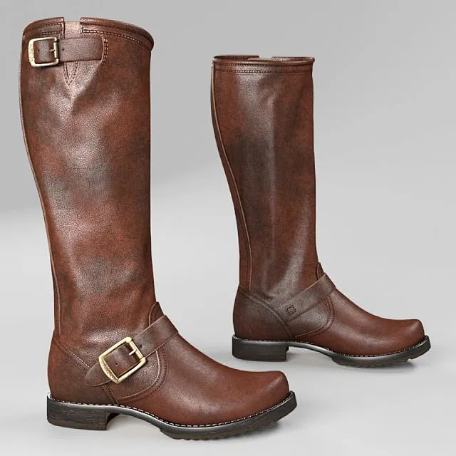 Frye Veronica Slouch Womens Boots 3D Model