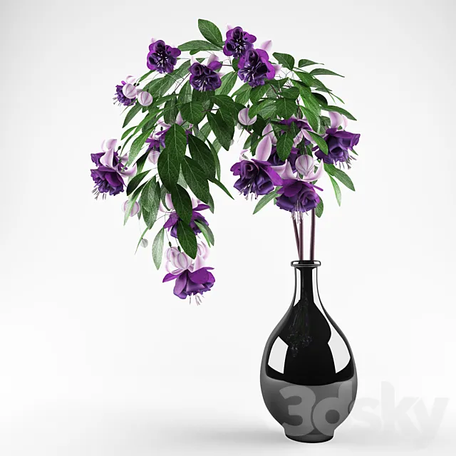 Fuchsia 3D Model Fuchsia 3D Model