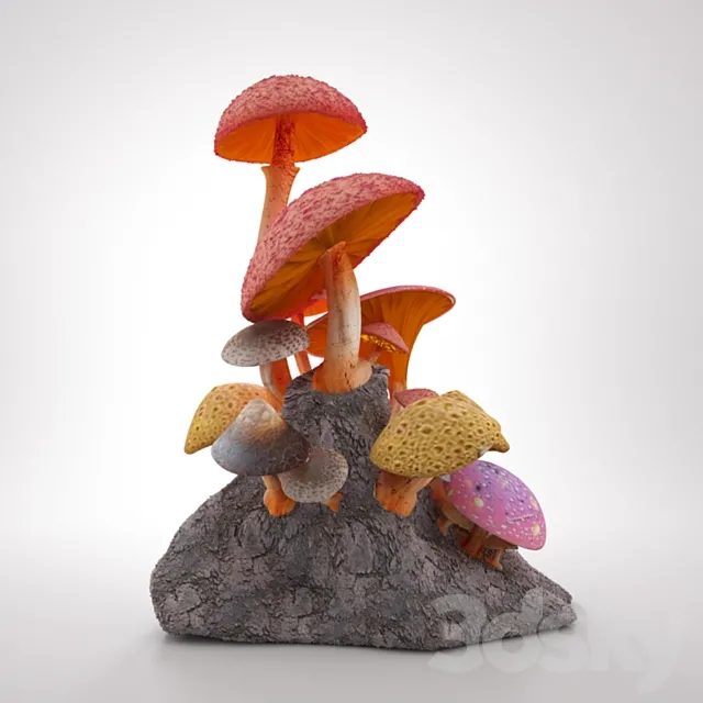 fungus 3D Model fungus 3D Model