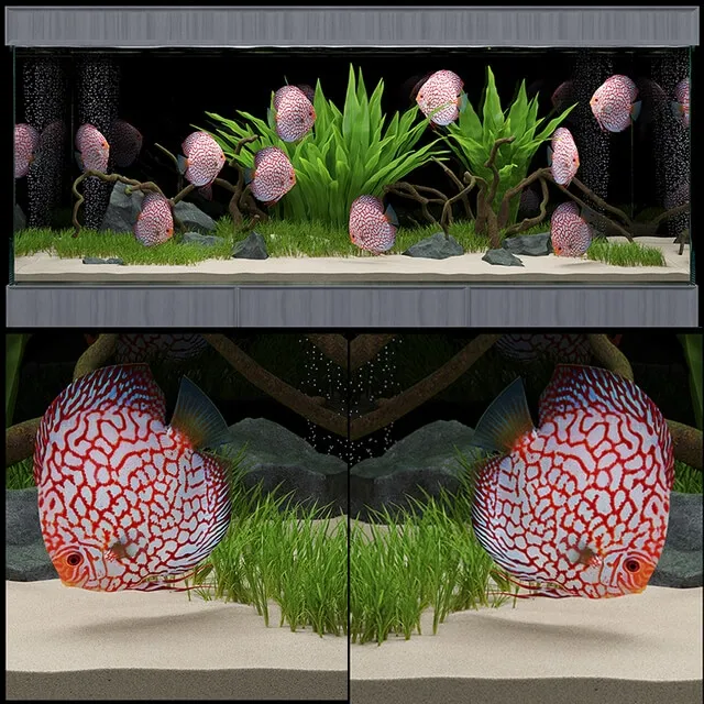 furniture – Aquarium 14 3D Model
