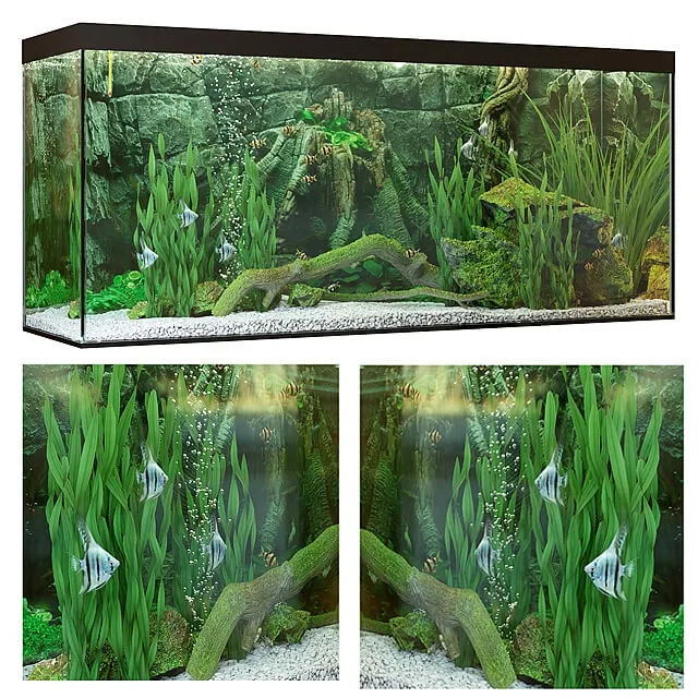 furniture – Aquarium 72 3D Model