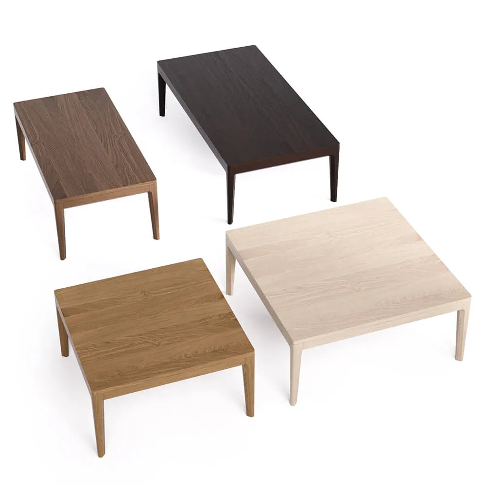 furniture – Coffee Table CASE 3D Model