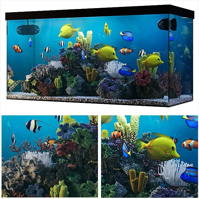 furniture – Seawater aquarium 3D Model