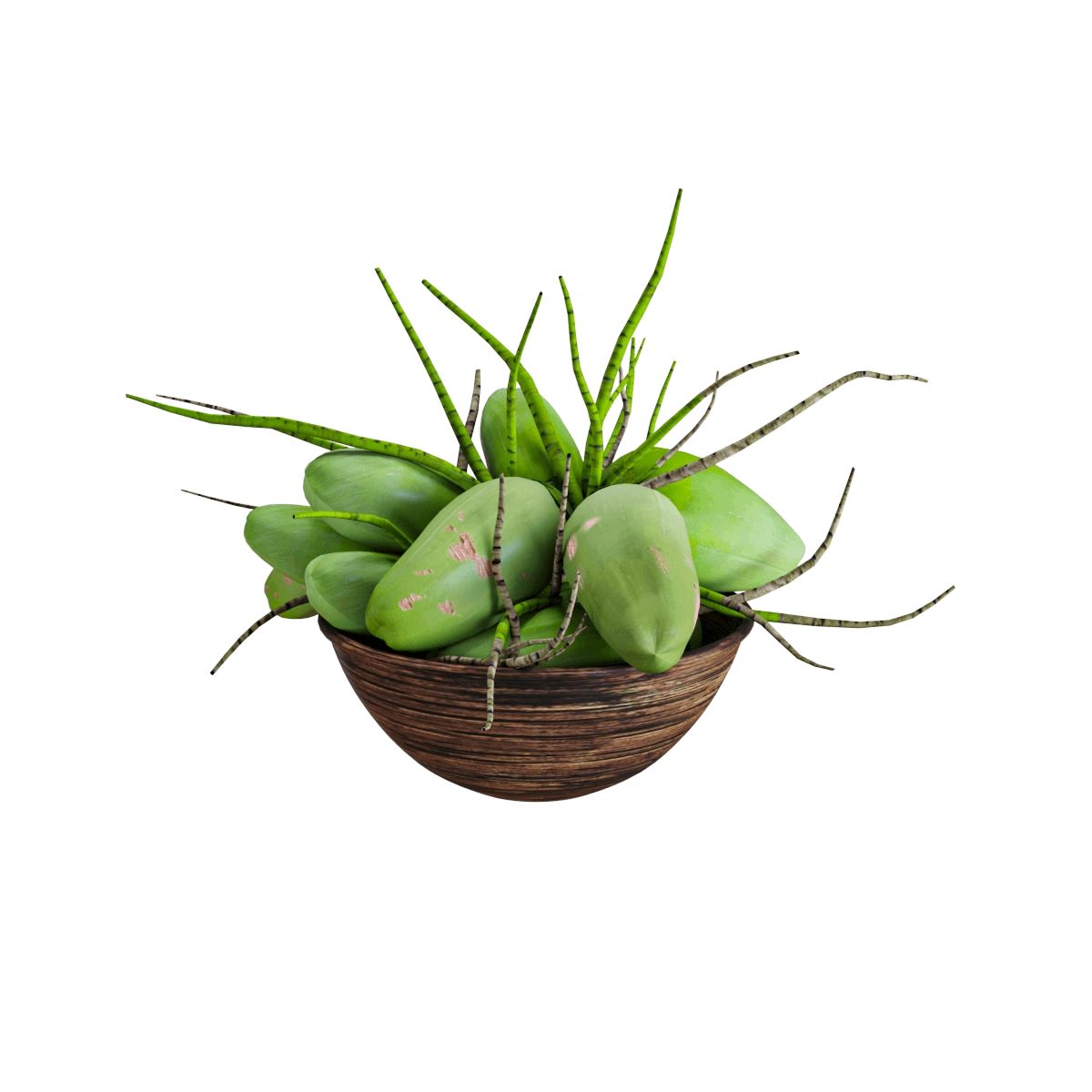 furniture – Set of coconut 3D Model