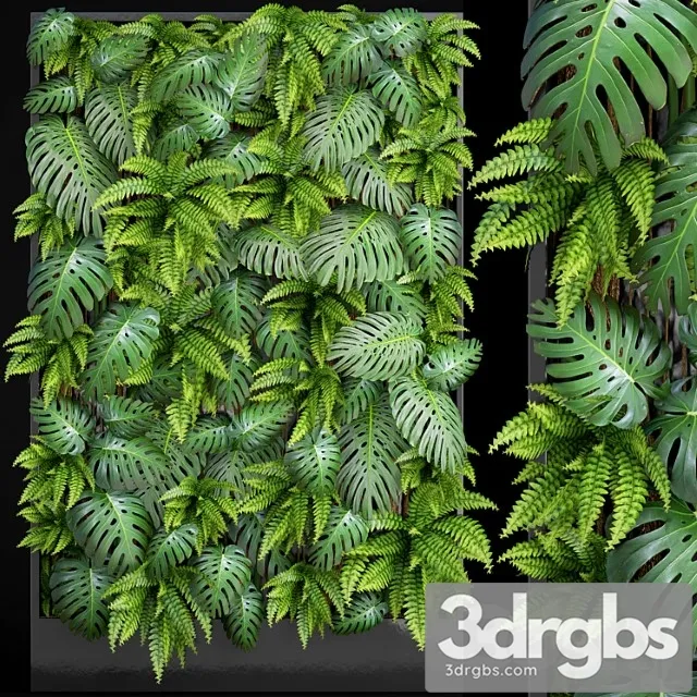 Fytowall 1. vertical garden, phytowall, phytomodl, landscaping, green picture, bush, wall decor, branches, monstera, fern, eco, eco decor, loft Fytowall 1. vertical garden, phytowall, phytomodl, landscaping, green picture, bush, wall decor, branches, monstera, fern, eco, eco decor, loft