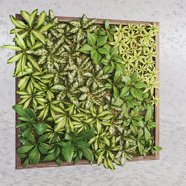 Fytowall diverse 3D Model Fytowall diverse 3D Model