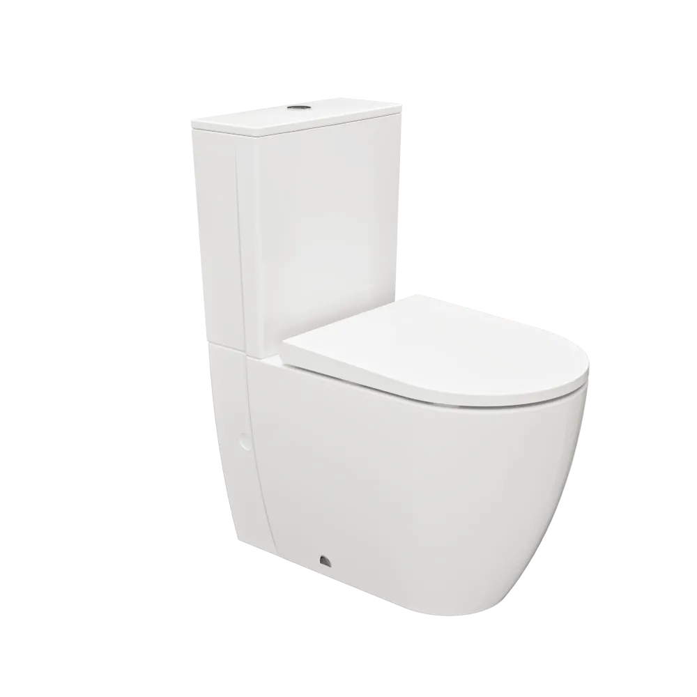 Gala – Coral – 09160 3D Model