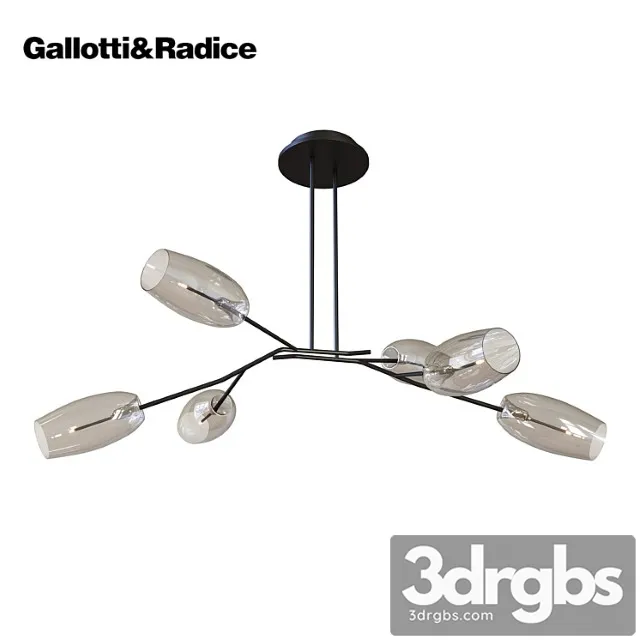 Galotti & radice diantha Galotti & radice diantha