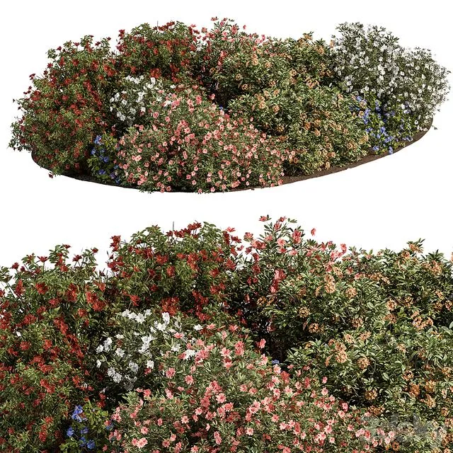 Garden colorful Flower Bush – Set 452 3D Model