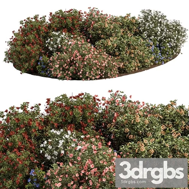 Garden Colorful Flower Bush Set 452 3D Model Download