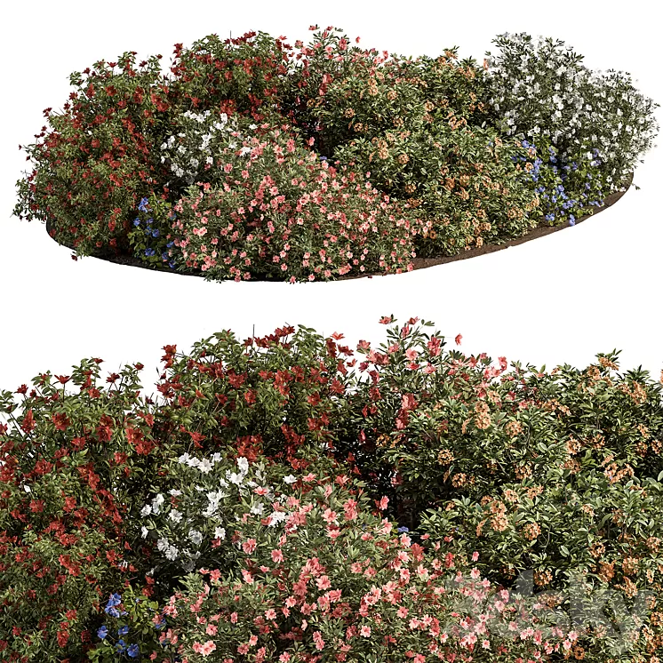 Garden colorful Flower Bush – Set 452 3D Model Free Download