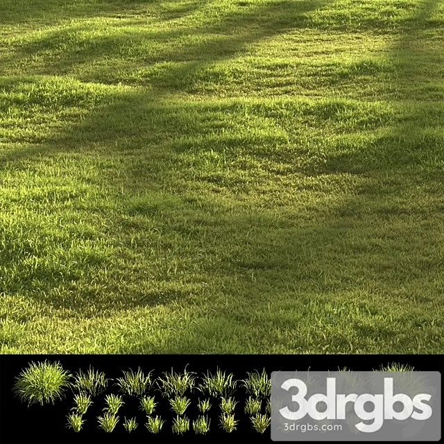 Garden Grass 3D Model Download Garden Grass 3D Model Download