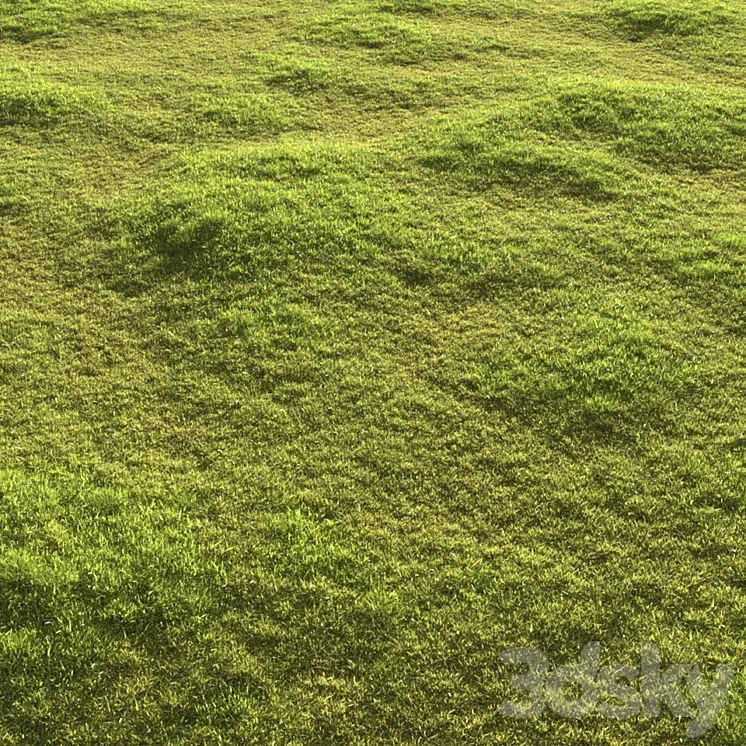 Garden grass 3D Model Free Download