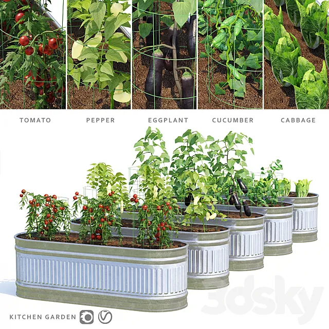 Garden | Kitchen garden 3D Model Garden | Kitchen garden 3D Model