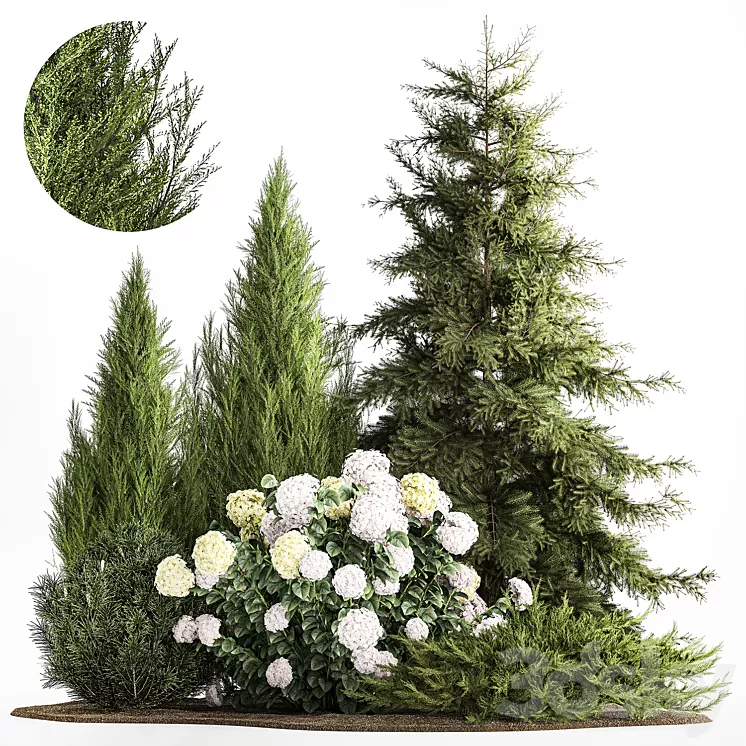Garden of spruce pine topiary white hydrangea bush flowers juniper alpine hill. Plant set 1181 3D Model Free Download