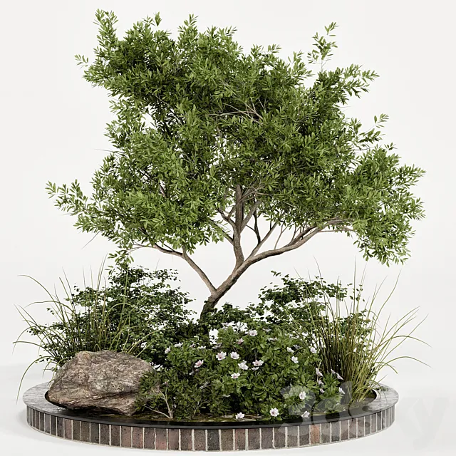 Garden plant set 05 3D Model Garden plant set 05 3D Model