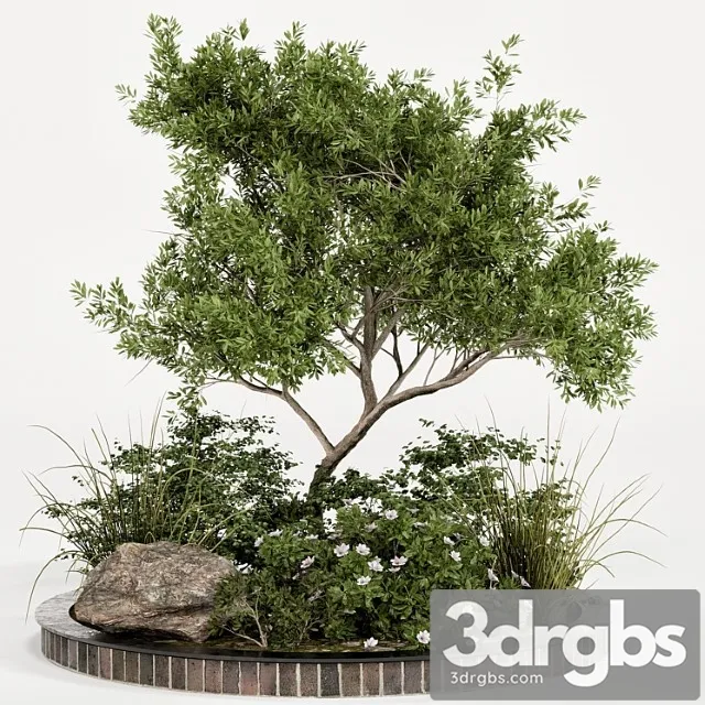 Garden plant set 05 Garden plant set 05