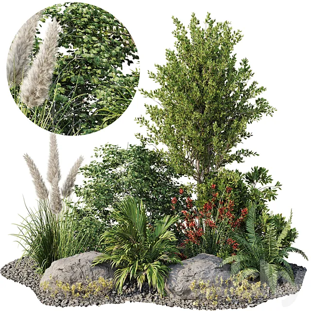 Garden plant set 08 3D Model Garden plant set 08 3D Model