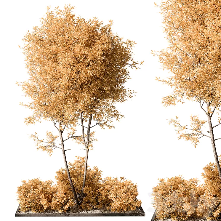 Garden Plants – Outdoor Plants 476 3D Model Free Download