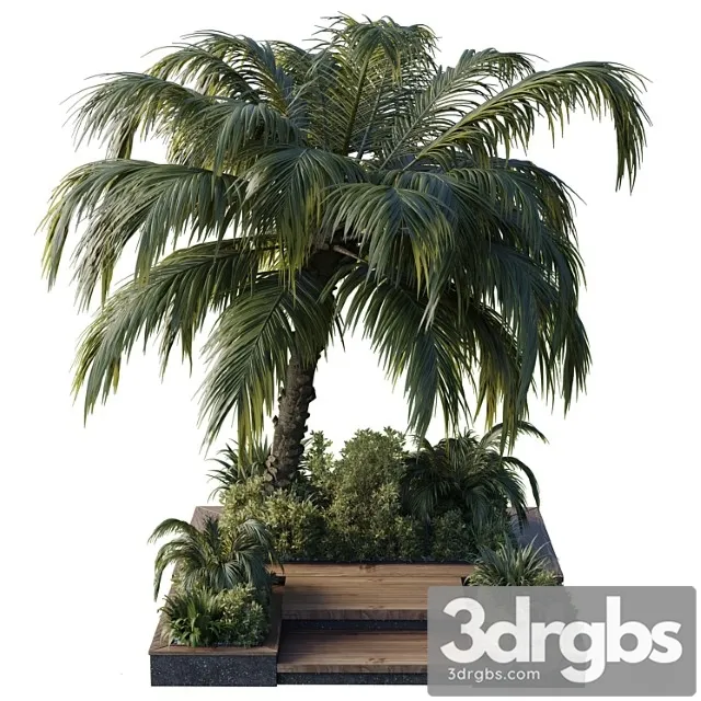 Garden Pot Tree Palm Bush Fern Grass Concrete Base Collection Outdoor Plant 102 3D Model Download