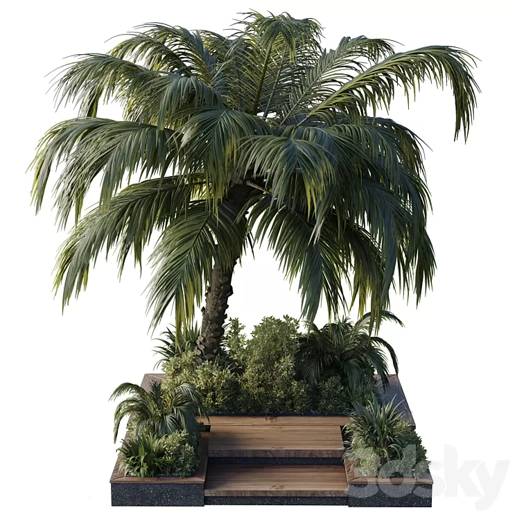 garden pot tree palm bush fern grass concrete base Collection Outdoor plant 102 3D Model Free Download