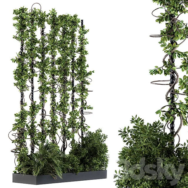 Garden set bush and ivy – Garden Set 09 3D Model